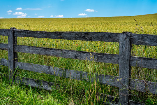 Maryland Field 