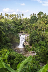 Waterfall in the jungle