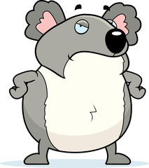 Angry Koala