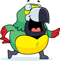 Parrot Walking