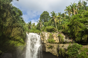 Naklejka premium Waterfall in the jungle