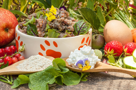 Kleiner Napf mit gesundem Barf-Men&uuml;, viel Gem&uuml;se, Obst und Salat