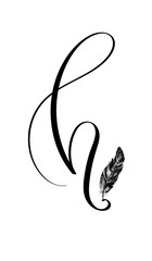 Hand drawn letter h in modern calligraphy style. Boho art print with decorative feathers.
