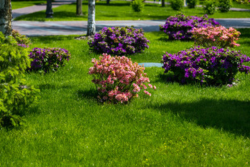 Landscaping in the garden. The path in the garden.Beautiful backyard landscape design,Some flowers and nicely trimmed bushes on the leveled front yard,Landscape formal