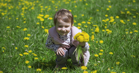 Happy childhood. The little girl collects bouquet  of wildflowers. (Recreation, summer, nature, vacation concept)