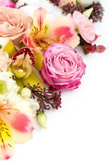 Elegant flowers on white background