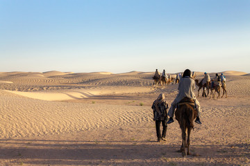 экскурсия в Сахару на верблюдах