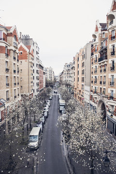 Paris in Spring