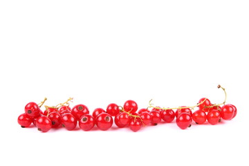 Red currant in a vacuum