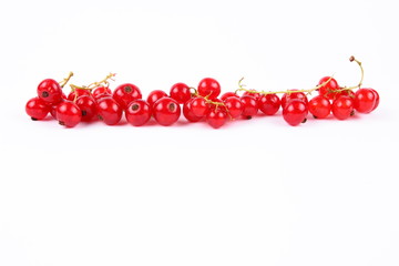 Red currant in a vacuum