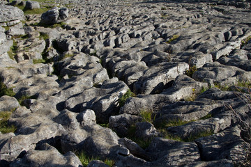 Limestone Pavement