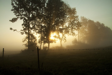 Fototapeta na wymiar Morning mist