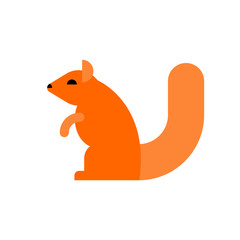 squirrel isolated. Rodent on white background