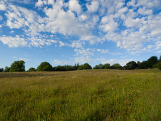  summer countryside morning,Northern Ireland