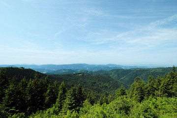 Hiking impressions from the Black Forest, Germany