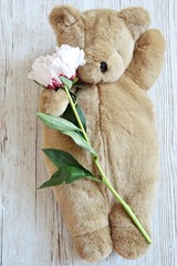 Teddy bear with peony flower