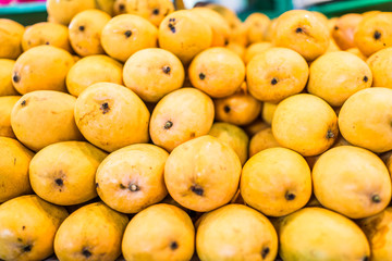 Macro closeup of many yellow ripe vibrant champagne mangoes