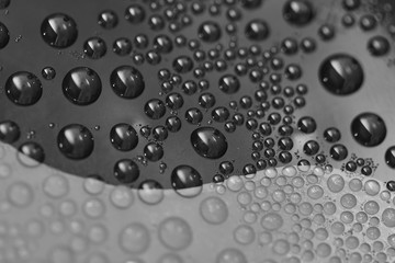 Water Drops