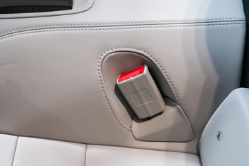 Seat belt buckle in the sport car.