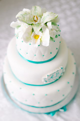 Obraz na płótnie Canvas Multi-level white wedding cake and beige flowers on top