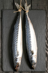 Two mackerel or scomber hanging on background of slate board