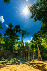 Ta Prohm 1