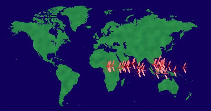 Mosquitoes, zika spreading across world map - path :right to left of screen. 3d render, animation
