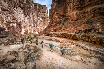 Group of Hikers backpacking through the Grand Canyon to Havasu Falls