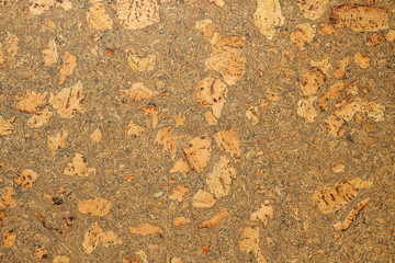 cork texture closeup