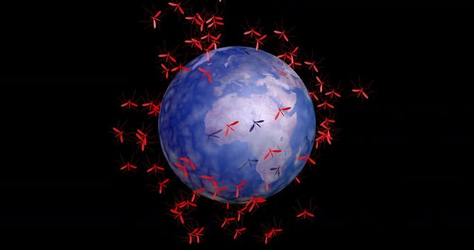 Zika mosquito swarm over planet earth. 3d animation, 3d render with alpha matte include