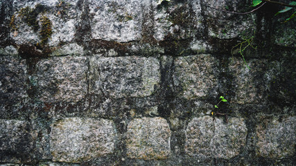 Wall of irregular stones