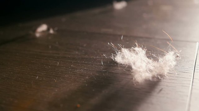 Falling wad on the wooden floor, slowmotion footage.