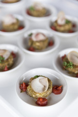 Variety of finger food on catering event