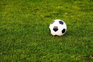 Fototapeta premium Soccer ball on the grass before the game