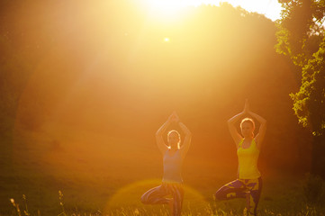 Girls posing yoga outside in the forest in the morning