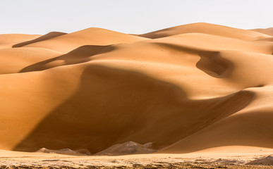 Fototapeta na wymiar sand duns in liwa desert