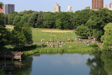 Relaxing at Central Park close to the lake on a beautifull sunny day, buildings in the background