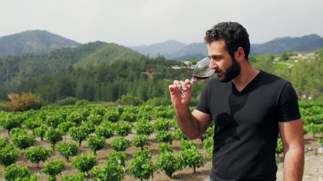Beautiful winemaker tasting wine on the background of his vineyard plantation