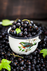 Fresh delicious organic black currant