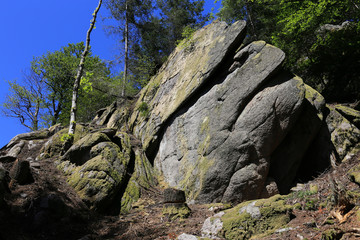 Black Forest hiking trail through the woods of Gertelbach in the Buehlertal, Germany