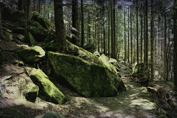 Black Forest hiking trail through the woods of Gertelbach in the Buehlertal, Germany