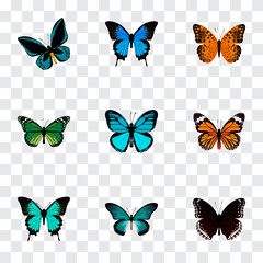 Fototapeta na wymiar Realistic Danaus Plexippus, Sky Animal, Common Blue And Other Vector Elements. Set Of Butterfly Realistic Symbols Also Includes Cypris, Green, Hairstreak Objects.