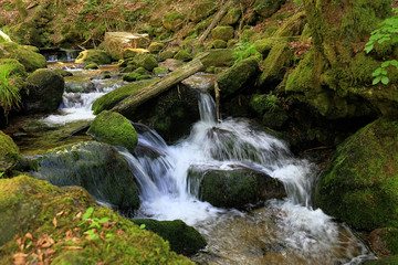 Fototapeta premium Gertelbach waterfalls, Black Forest, Germany