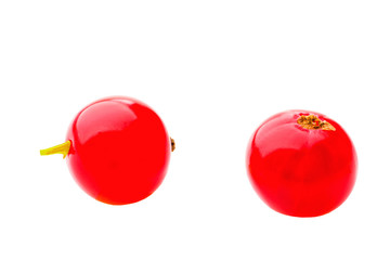 Two red ripe currant berries isolated over white background