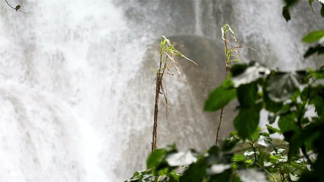 A beautiful cascade waterfall in the cuban jungles near Cumanayagua