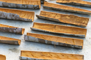 Fresh Cinnamon sticks drying in the midday sun