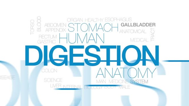 Digestion animated word cloud, text design animation.  Kinetic typography.