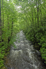 Fototapeta na wymiar Mountain Stream in the Spring