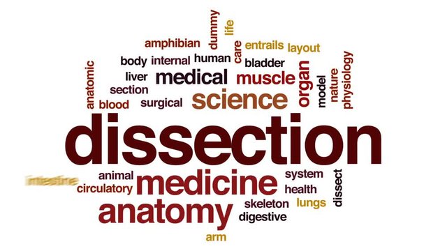 Dissection animated word cloud, text design animation.