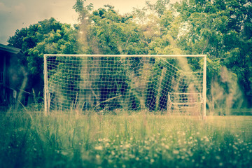 soccer football goal through the net.